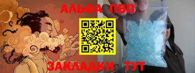 СК Новозыбков