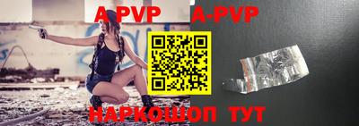 СК Новозыбков