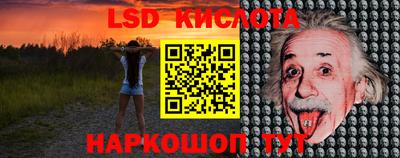 СК Новозыбков