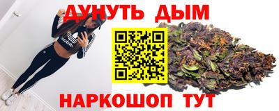 МДПВ Новодвинск