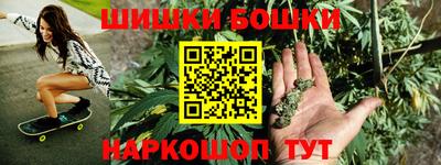 СК Новозыбков
