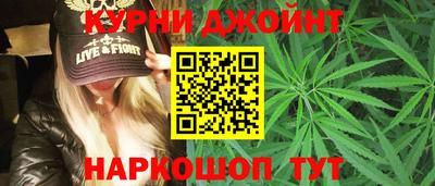 СК Новозыбков