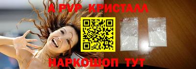СК Новозыбков