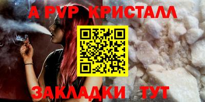 СК Новозыбков