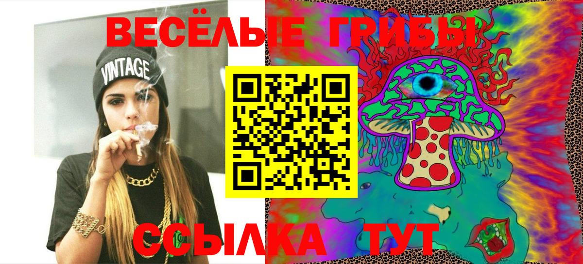 Стрежевой  Галлюциногенные грибы Psilocybine cubensis  Вход с VPN 