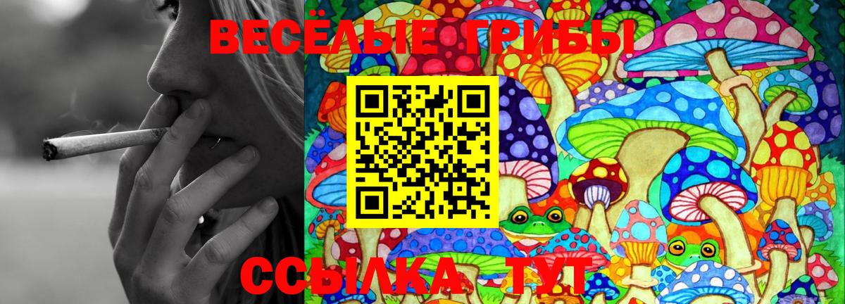 Галлюциногенные грибы Psilocybe Стрежевой